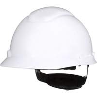 SecureFitH-700 Hardhat, Meets CSA Type 1, Ratchet Suspension, Non-Vented M & M Nord Ouest Inc