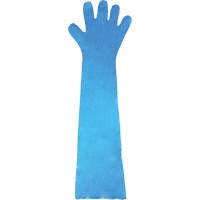 Disposable Gloves, Polyethylene, Powder-Free, Blue M & M Nord Ouest Inc