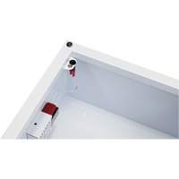 Standard Large AED Cabinet with Alarm, Zoll AED Plus&reg;/Zoll AED 3/Cardio-Science/Physio-Control For, Non-Medical M & M Nord Ouest Inc