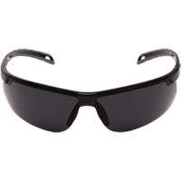 Ever-Lite&reg; Safety Glasses, Dark Grey Lens, ANSI Z87+/Meets/Exceeds CSA Z94.3 M & M Nord Ouest Inc