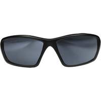 Lunettes de s&eacute;curit&eacute; Robson avec joint, Lentille Miroir argent&eacute;, Anti-&eacute;gratignures/Polaris&eacute;, ANSI Z87+/MCEPS GL-PD 10-12/R&eacute;pond ou surpasse la norme CSA Z94.3 M & M Nord Ouest Inc