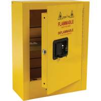 Armoire de s&eacute;curit&eacute; miniature pour produits inflammables, 2 gal., 1 Porte(s), 17" La x 22" h x 8" p M & M Nord Ouest Inc