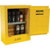 Armoire de s&eacute;curit&eacute; miniature pour produits inflammables, 2 gal., 1 Porte(s), 17" La x 22" h x 8" p M & M Nord Ouest Inc