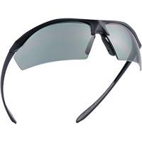 Sentinel Ballistic Protection Safety Glasses, Smoke Lens, Anti-Fog/Anti-Scratch/Polarized, ANSI Z87+ M & M Nord Ouest Inc