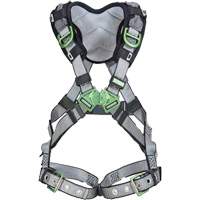 Harnais de s&eacute;curit&eacute; complet V-Fit, Certifi&eacute;e CSA, Classe AEP, Standard, Cap. 400 lb M & M Nord Ouest Inc