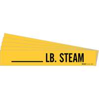 Marqueurs de tuyau LB. Steam, Autocollant, 2-1/4" h x 2-3/4" la, Noir sur jaune M & M Nord Ouest Inc
