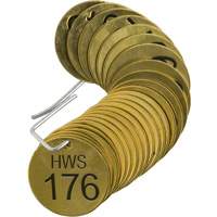 Numbered "HWS" Valve Tags, # 176-200, Brass, 1.5" dia M & M Nord Ouest Inc