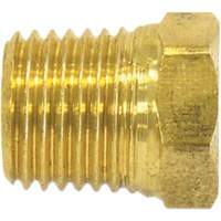Bouchon de tuyau (t&ecirc;te hexagonale), 1/8" dia., Laiton M & M Nord Ouest Inc