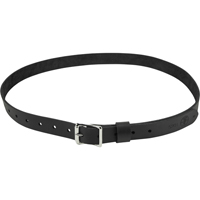 Tool Belts