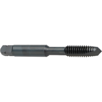Taraud &agrave; entr&eacute;e h&eacute;licoidale, Acier rapide au cobalt, Filet de 8-32, 2-1/8" l M & M Nord Ouest Inc