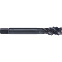 45° Spiral Flute Tap, High Speed Cobalt, 7/8"-9 Thread, 4-11/16" L M & M Nord Ouest Inc