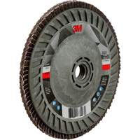 769F Quick Change Flap Disc, 5" x 5/8"-11, Type 29, 120+ Grit, Ceramic M & M Nord Ouest Inc