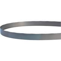 Welded Bandsaw Blade, Bi-Metal, 14' L x 1" W x 4 - 6 TPI M & M Nord Ouest Inc