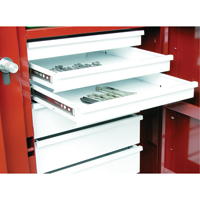 Rolling Work Bench, 49-7/8" W x 40-5/8" H x 26-7/8" D, 24.6 Cubic Feet Capacity M & M Nord Ouest Inc