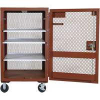 Mobile Mesh Cabinet, Steel, 22 Cubic Feet, Red TEQ807 | M & M Nord Ouest Inc