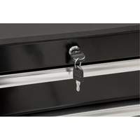 Heavy-Duty Tool Cart, 7 Drawers, 28" W x 22" D x 42-3/8" H, Black M & M Nord Ouest Inc