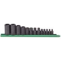 External Torx&reg; Socket Set, 1/2"/1/4"/3/8" Drive M & M Nord Ouest Inc