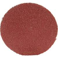 Roloc Disc 361F, 1-1/2" Dia., P100 Grit, Aluminum Oxide M & M Nord Ouest Inc
