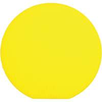 Scrapers, Drywall & Paint