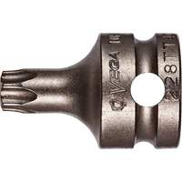 Embout &agrave; ins&eacute;rer, Torx inviolable, 25 x 1" lo, Prise 3/8" M & M Nord Ouest Inc