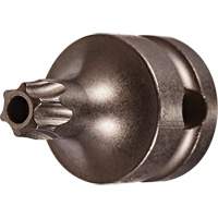 Embout &agrave; ins&eacute;rer, Torx inviolable, 25 x 1" lo, Prise 3/8" M & M Nord Ouest Inc