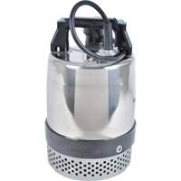 Pompe utilitaire s&eacute;rie FLS/FS, 1 CV, 80 gal./min, 115 V, 10 A M & M Nord Ouest Inc