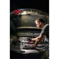 Projecteur d'illumination montable M12 ROVER, DEL, 250 W, 1000 lumens M & M Nord Ouest Inc