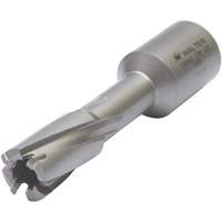 Core Cut Annular Cutter with Weldon Shank, 12 mm Diameter, Carbide, 30 mm Depth of Cut, 3/4" Shank M & M Nord Ouest Inc