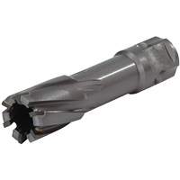 Universal Shank Annular Cutter, 1/2" Diameter, Carbide, 1" Depth of Cut, 3/4" Shank M & M Nord Ouest Inc