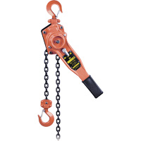 KLP-75-10 KLP Series Heavy-Duty Lever Chain Hoist, 10' Lift, 1500 lbs. (0.75 tons) Capacity M & M Nord Ouest Inc
