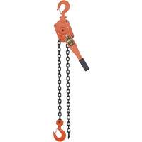 VLP Series Chain Hoists, 5' Lift, 6000 lbs. (3 tons) Capacity, Steel Chain UAW094 | M & M Nord Ouest Inc