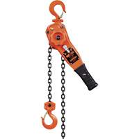 KLP Series Lever Chain Hoists, 5' Lift, 1500 lbs. (0.75 tons) Capacity, Steel Chain UAW099 | M & M Nord Ouest Inc