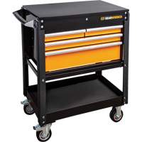 MEGAMOD Master Mechanics Tool Set in Premium Modular Foam Trays with Tool Storage, 1268 Pieces M & M Nord Ouest Inc