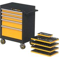 Mechanics Tool Set in Modular Foam Trays with Storage Unit, 247 Pieces M & M Nord Ouest Inc