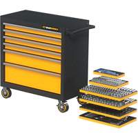 MEGAMOD Metric Mechanics Tool Set in Modular Foam Trays with Rolling Cabinet, 358 Pieces M & M Nord Ouest Inc
