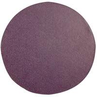 Replacement Sanding Pad, 6" Dia. M & M Nord Ouest Inc