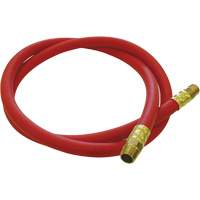 Tuyau de raccordement pour d&eacute;vidoir de tuyau, Air, Caoutchouc EDPM, 1/2" dia. x 5', 300 psi, 1/2 NPT M & M Nord Ouest Inc
