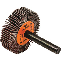 Disques &agrave; lamelles - Meules &agrave; lamelles Coolcut, Oxyde d'aluminium, Grain 80, 1-1/2" x 3/8" x 1/4" M & M Nord Ouest Inc