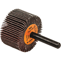 Disques &agrave; lamelles - Meules &agrave; lamelles Coolcut, Oxyde d'aluminium, Grain 60, 1-1/2" x 1" x 1/4" M & M Nord Ouest Inc