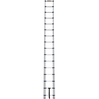 &eacute;chelle t&eacute;lescopique, 3' - 15,5', Aluminium, Capacit&eacute; de 250 lb, Type 1 M & M Nord Ouest Inc