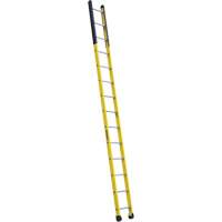 Single Manhole Ladder, 14', Fibreglass, 375 lbs., CSA Grade 1AA VD465 | M & M Nord Ouest Inc