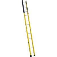 Single Manhole Ladder, 12', Fibreglass, 375 lbs., CSA Grade 1AA VD466 | M & M Nord Ouest Inc