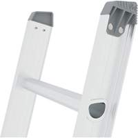 Jobsite Series Extension Ladder, 225 lbs. Cap., 32' H, Grade 2 M & M Nord Ouest Inc