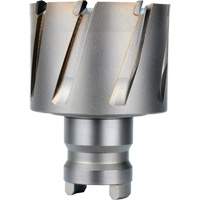 Fraise avec tenon &agrave; changement rapide Drive Hawg, Diam&egrave;tre de 2", Acier, Profondeur de la coupe de 1" M & M Nord Ouest Inc