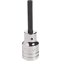 Embout &agrave; ins&eacute;rer, Hexagonale, 18 mm x 4" lo, Prise 1/2" M & M Nord Ouest Inc