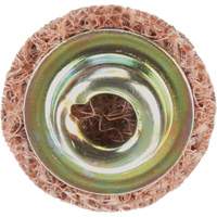 Standard Abrasives Quick-Change Surface Conditioning Disc, 3/4" Dia., Coarse Grit, Aluminum Oxide M & M Nord Ouest Inc