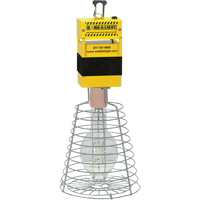 Baladeuses Hang-A-Light<sup>MD</sup> XD065 | M & M Nord Ouest Inc
