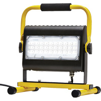 Flood Light, LED, 50 W, 4800 Lumens, Aluminum Housing M & M Nord Ouest Inc