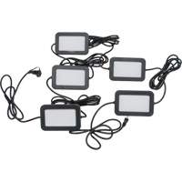 Chaîne de baladeuses DEL, 5 Lumi&egrave;res, 50' lo, Boîtier en Plastique M & M Nord Ouest Inc