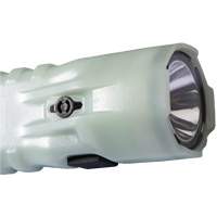 Flashlight, LED, 378 Lumens, AA Batteries M & M Nord Ouest Inc